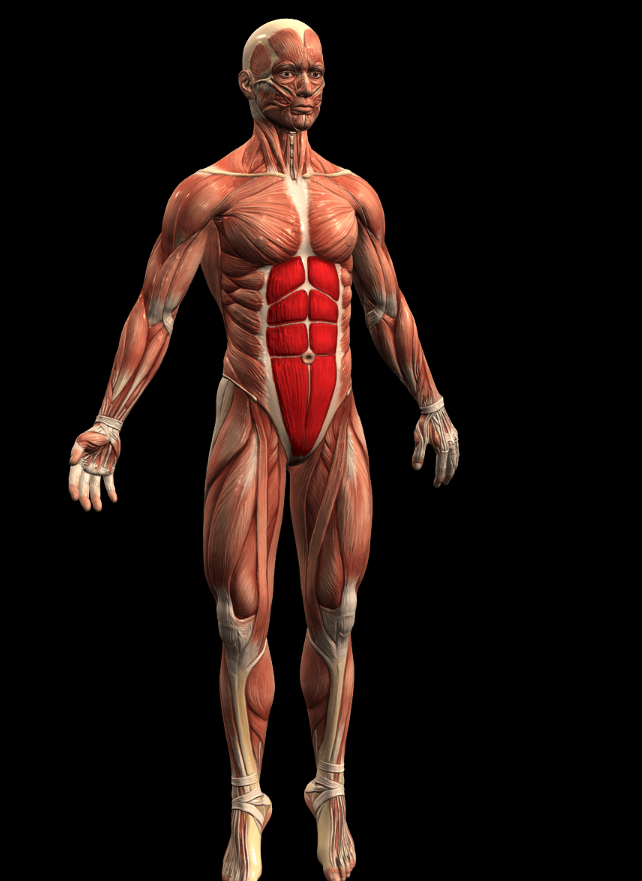 Sports Science Education