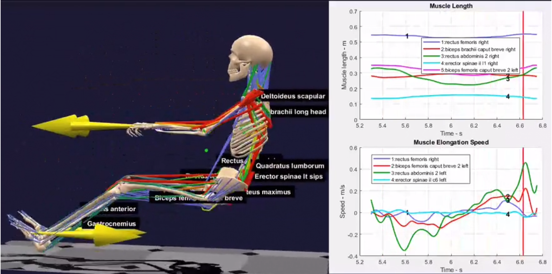 Motion Capture Biomechanical Analysis