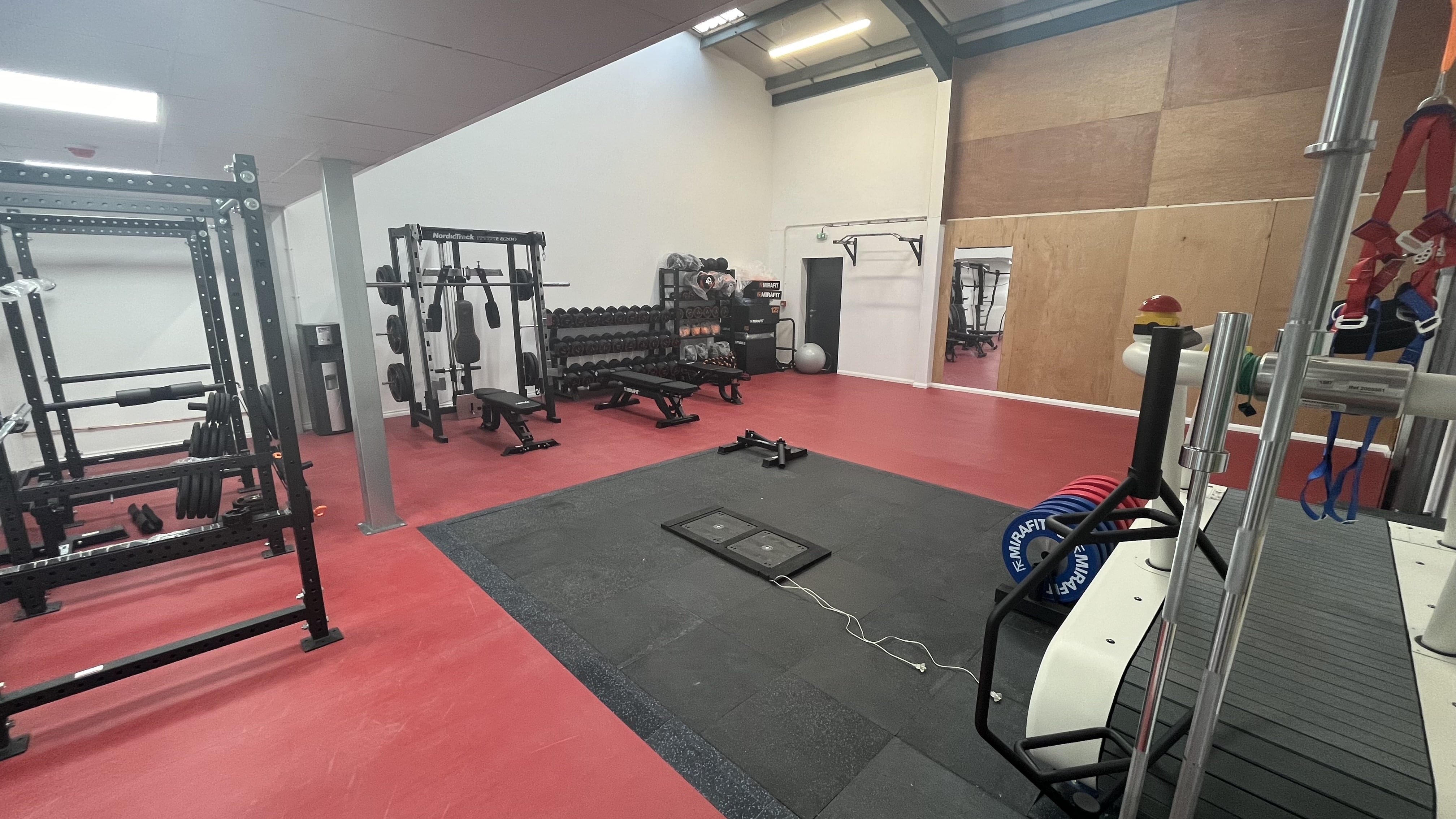 Dynamic Strength and Power Training